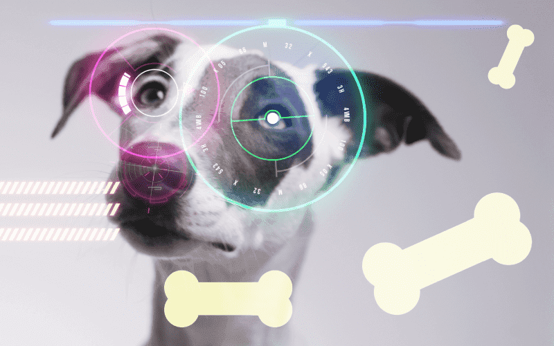 L'intelligence artificielle en clinique : comment elle révolutionne le diagnostic vétérinaire